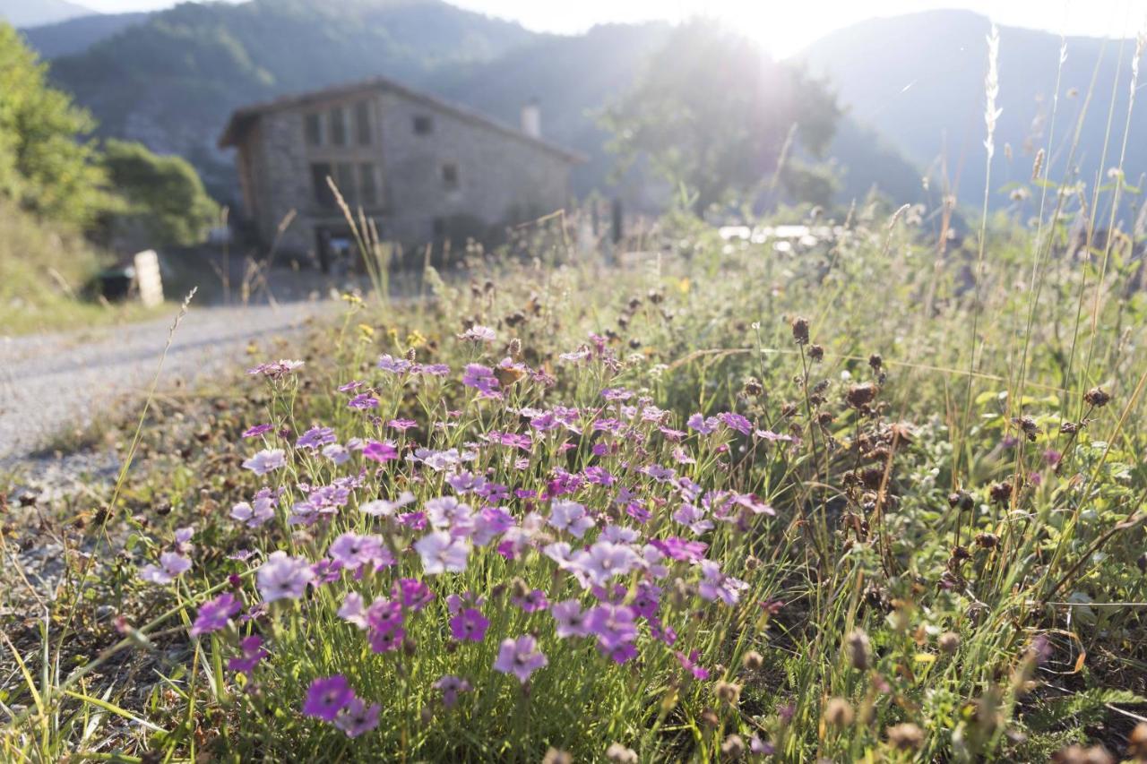 Mas Rural El Negre Pansiyon Ogassa Dış mekan fotoğraf