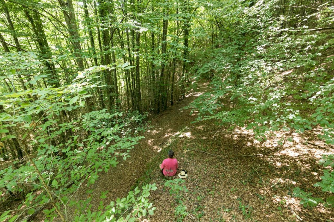 Mas Rural El Negre Pansiyon Ogassa Dış mekan fotoğraf