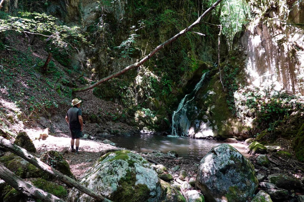 Mas Rural El Negre Pansiyon Ogassa Dış mekan fotoğraf