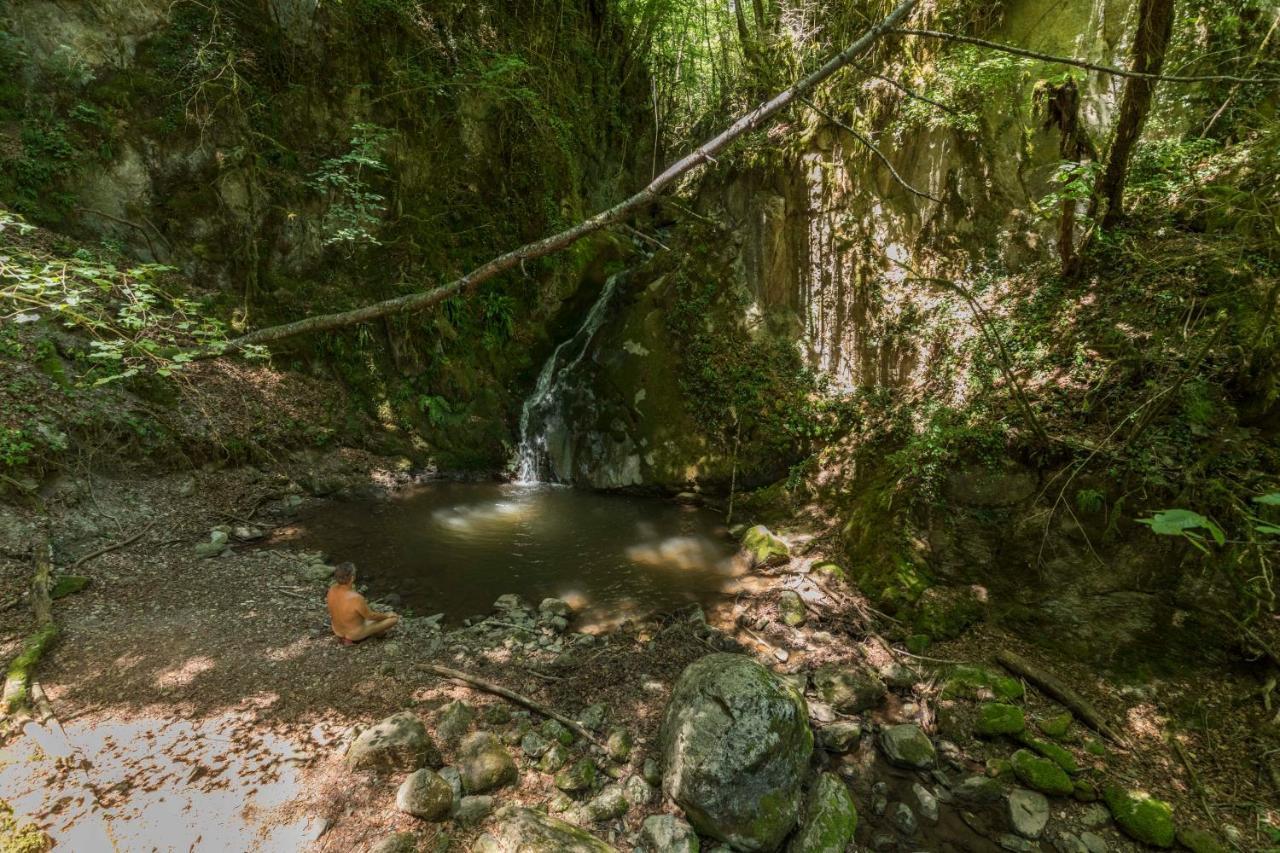 Mas Rural El Negre Pansiyon Ogassa Dış mekan fotoğraf