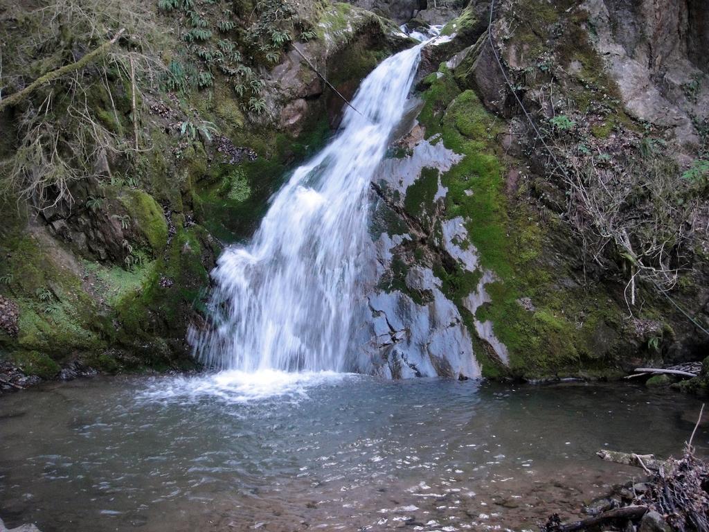 Mas Rural El Negre Pansiyon Ogassa Dış mekan fotoğraf